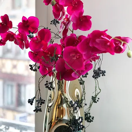 Newly Renovated - Historical Center Colmar