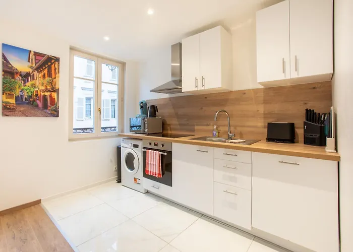 Newly Renovated - Historical Center Colmar