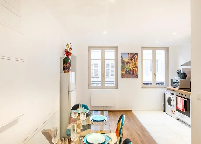 Newly Renovated - Historical Center Colmar