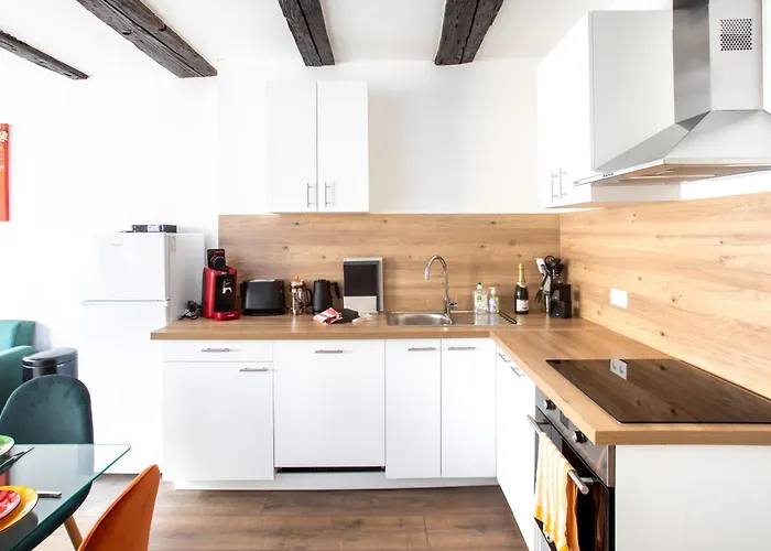 Newly Renovated - Historical Center Apartment Colmar