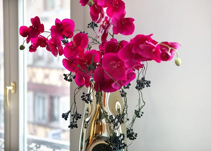 Newly Renovated - Historical Center Colmar