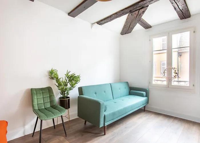 Newly Renovated - Historical Center Apartment Colmar